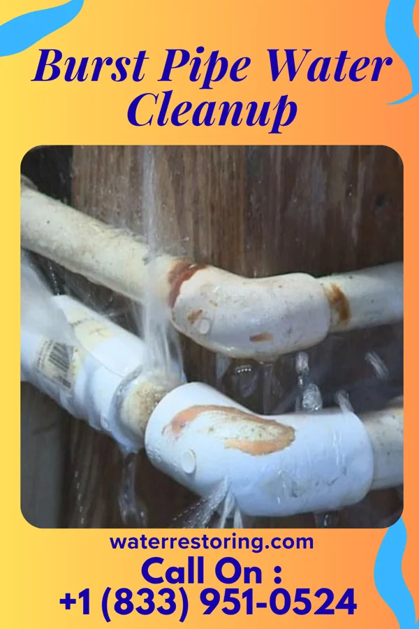 Burst Pipe Water Cleanup in Winooski, VT