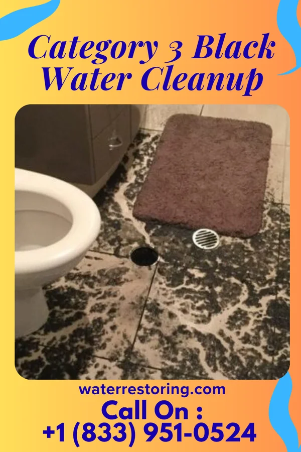 Category 3 Black Water Cleanup in Winooski, VT