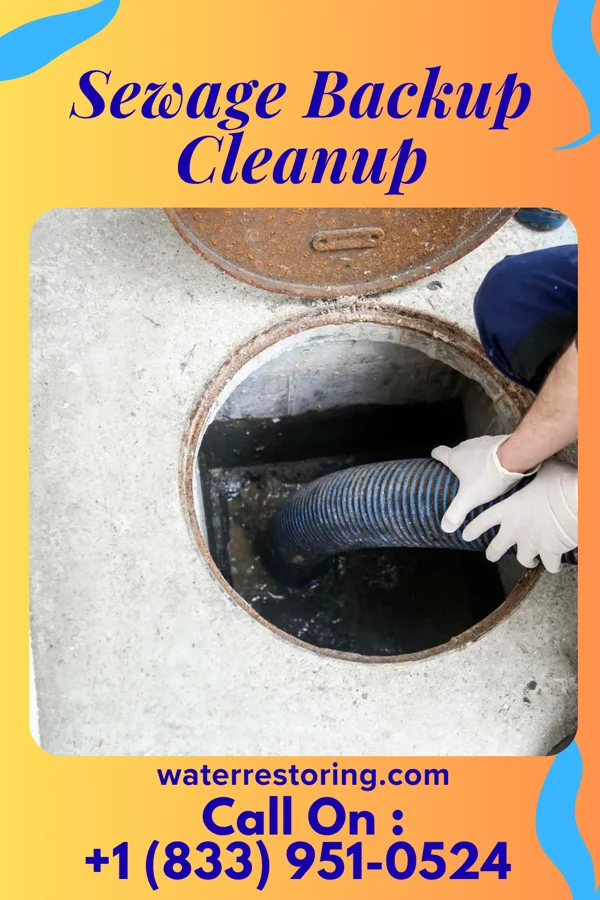 Sewage Backup Cleanup in Winooski, VT