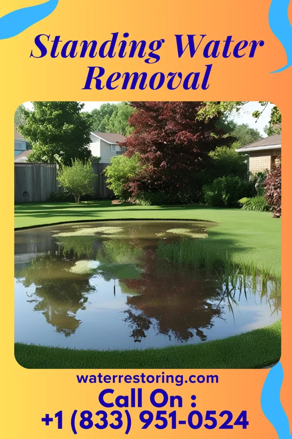 Standing Water Removal in Winooski, VT